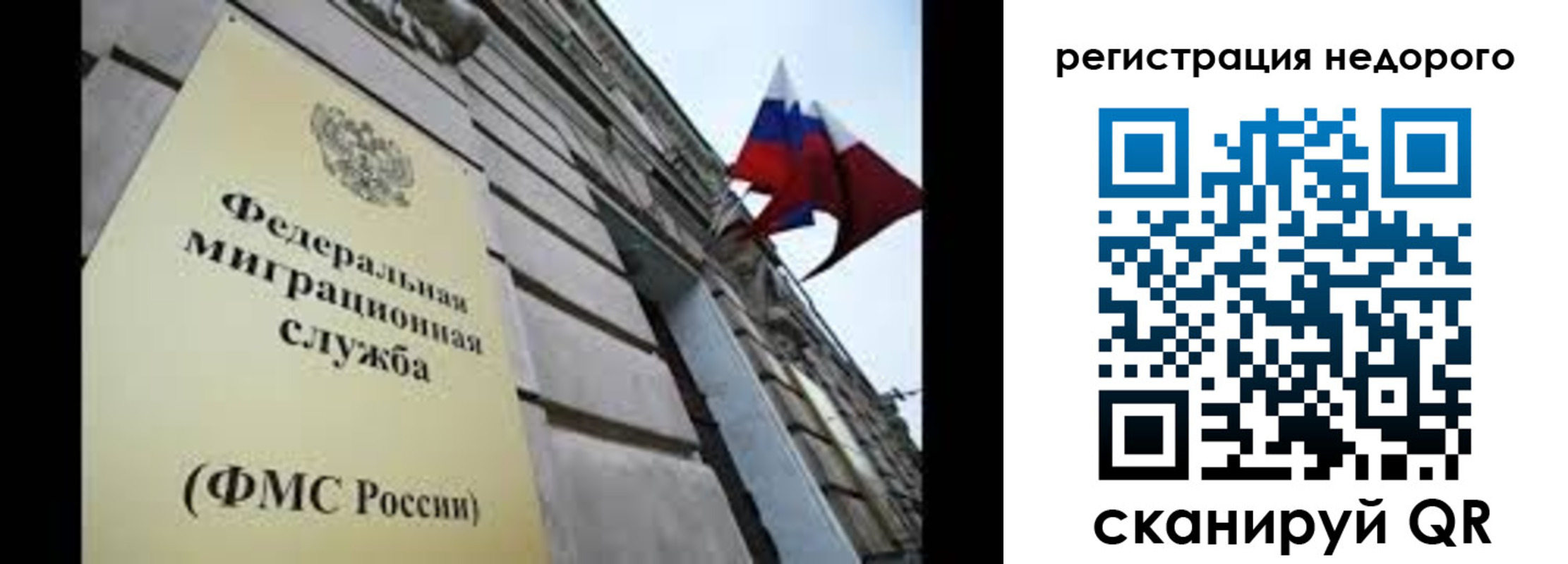 прописка поиск в Кировске